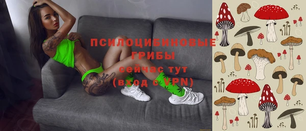 прущий лед Арсеньев