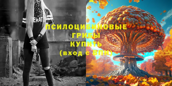 мет Армянск